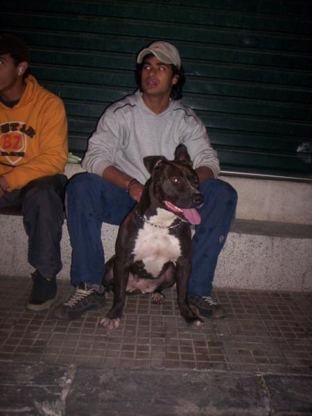 ac ma chienne 